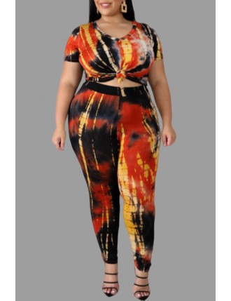 Lovely Chic Printed Multicolor Plus Size Two-piece Pants Set