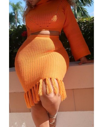 Lovely Casual Flounce Design Orange Two-piece Skirt Set
